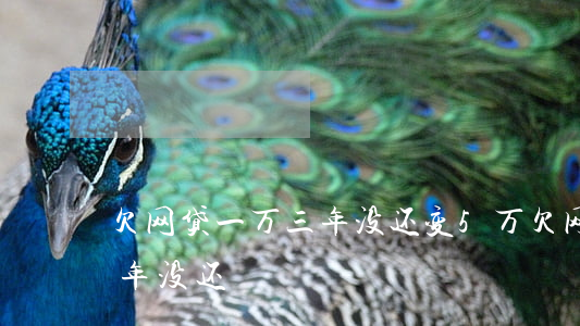 欠网贷一万三年没还变5万(欠网贷了5万三年没还)