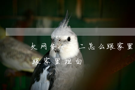 欠网贷一万二怎么跟家里坦白(网贷欠款十万跟家里坦白)