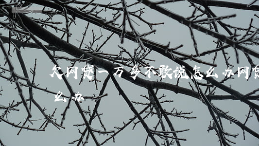 欠网贷一万多不敢说怎么办(网贷欠一万八怎么办)