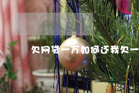欠网贷一万 如何还(我欠一万多网贷怎么办)