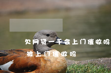 欠网贷一千会上门催收吗(网贷欠款一万多会被上门催收吗)