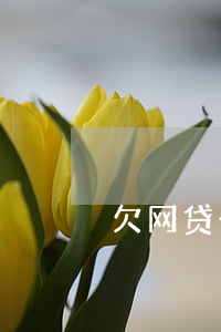 欠网贷一千元会立案吗(网贷欠一万会立案吗)