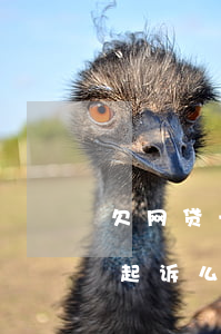 欠网贷一千多会被起诉么(欠网贷一千多会被起诉么)