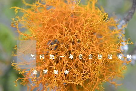 欠网贷一年多会被起诉吗(欠网贷两千多会不会被起诉)