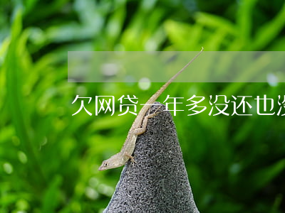 欠网贷一年多没还也没催