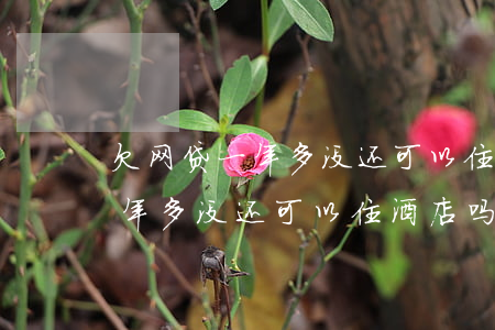 欠网贷一年多没还可以住酒店吗-欠网贷一年多没还可以住酒店吗知乎