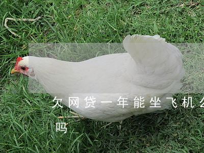 欠网贷一年能坐飞机么(欠网贷不还能坐飞机吗)