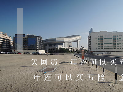 欠网贷一年还可以买五险一金吗-欠网贷一年还可以买五险一金吗知乎