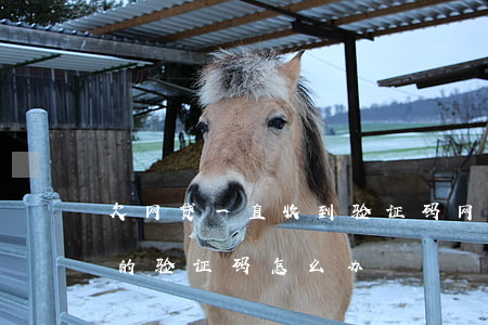 欠网贷 一直收到验证码(网贷逾期收到公安局的验证码怎么办)