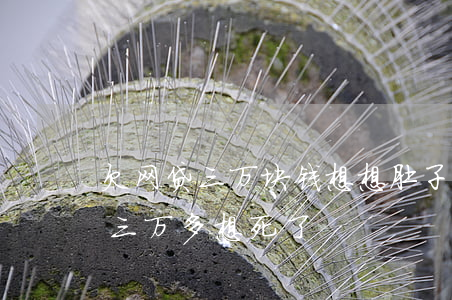 欠网贷三万块钱想想肚子好难受-网贷欠了三万多想死了