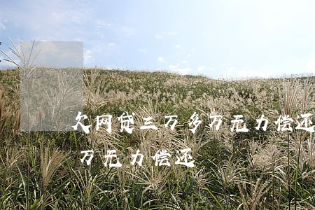 欠网贷三万多万无力偿还怎么办(欠了网贷3万无力偿还)