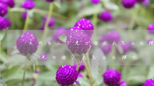 欠网贷三万无力偿还我怎么处理-欠网贷三万无力偿还我怎么处理呢