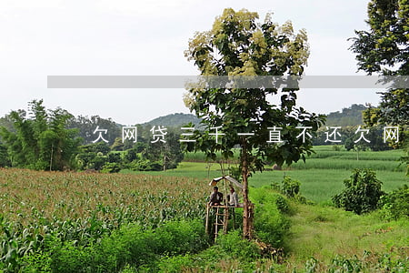 欠网贷三千一直不还（欠网贷三千一直不还）