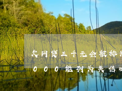 欠网贷三千元会被称为执信人嘛(网贷欠款5000能列为失信吗)