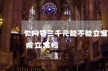 欠网贷三千元能不能立案(网贷欠三千块钱法院立案吗)