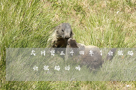 欠网贷三千四年了会被起诉吗(欠网贷三千多会被起诉吗)