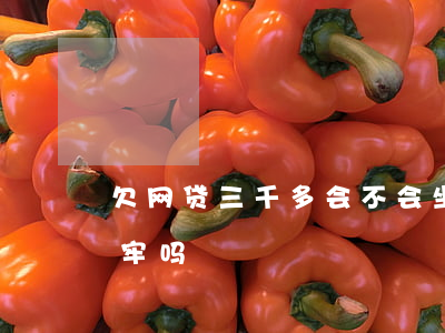 欠网贷三千多会不会坐牢(欠两三万网贷用坐牢吗)