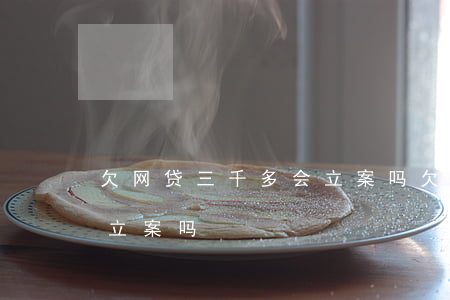 欠网贷三千多会立案吗(欠网贷3000多会立案吗)