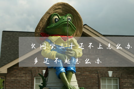 欠网贷三千还不上怎么办(网贷欠了3000多还不起怎么办)