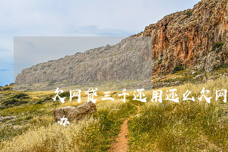 欠网贷三千还用还么(欠网贷三千还不上怎么办)