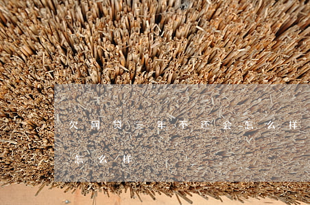 欠网贷三年不还会怎么样(网贷不还三年后会怎么样)