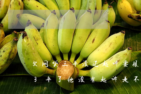 欠网贷三年没还起诉要孩子抚养权-欠网贷3年了他没有起诉是不是已经