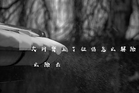 欠网贷上了征信怎么解除(欠网贷上征信了怎么除去)