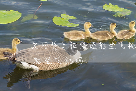 欠网贷上征信还能坐飞机吗(欠网贷上征信还能坐飞机吗)
