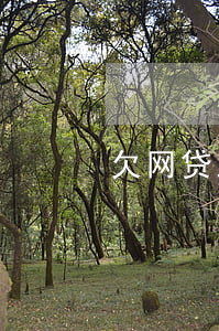 欠网贷上门涂墙(网贷上门要债违法吗)