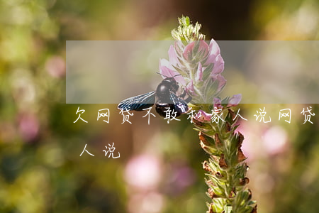 欠网贷不敢和家人说(网贷欠了六万不敢跟家人说)