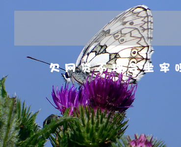 欠网贷不理会坐牢吗(欠网贷会不会坐牢?)