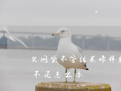 欠网贷不管结果咋样就是不还(如果欠的网贷不还怎么办)