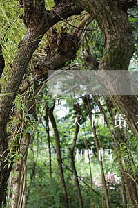 欠网贷不能坐火车飞机吗(欠网贷不可以坐飞机吗)