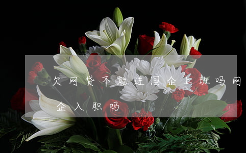 欠网贷不能进国企上班吗(网贷没结清影响国企入职吗)