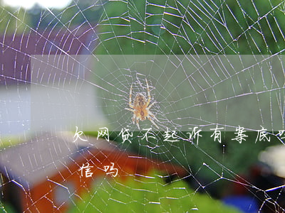 欠网贷不起诉有案底吗-网贷不起诉会上征信吗