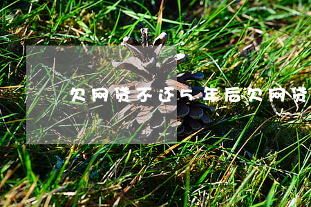 欠网贷不还5年后(欠网贷两年没还怎么办)