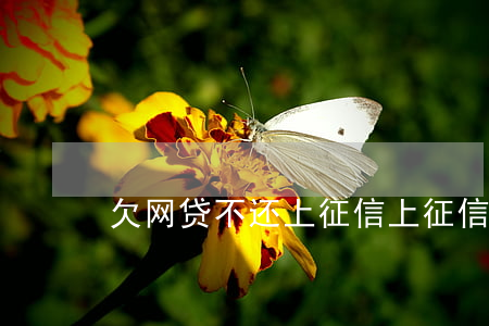 欠网贷不还上征信(上征信的网贷不还)
