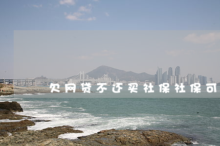 欠网贷不还买社保(社保可以欠缴吗)