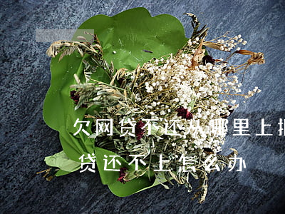 欠网贷不还从哪里上报征信(欠了上征信的网贷还不上怎么办)