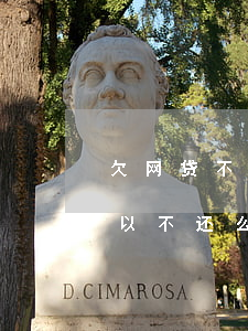 欠网贷不还会上征信嘛(欠网贷没上征信的可以不还么)