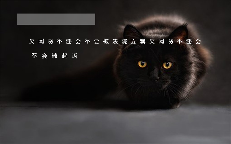 欠网贷不还会不会被法院立案(欠网贷不还会不会被起诉)