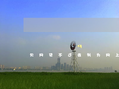 欠网贷不还会列为网上逃犯吗(欠网贷会坐牢)