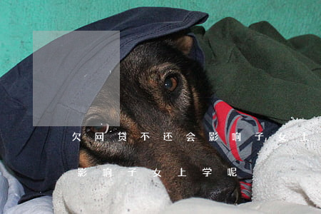 欠网贷不还会影响子女上学呢(欠网贷不还会影响子女上学呢)