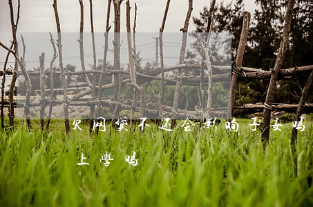 欠网贷不还会影响子女吗(欠网贷会影响子女上学吗)