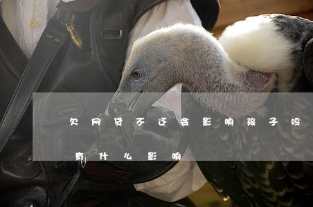 欠网贷不还会影响孩子吗(欠网贷不还对孩子有什么影响)
