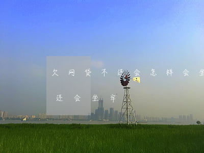 欠网贷不还会怎样会坐几年牢(网贷欠多少不还会坐牢)