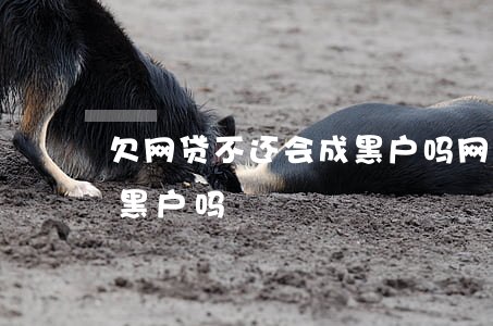 欠网贷不还会成黑户吗(网贷欠款还完还会是黑户吗)