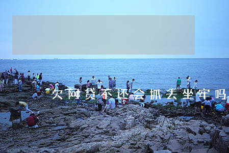 欠网贷不还会抓去坐牢吗