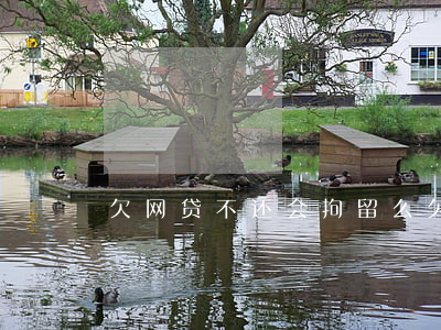 欠网贷不还会拘留么(欠网贷不还会坐牢)