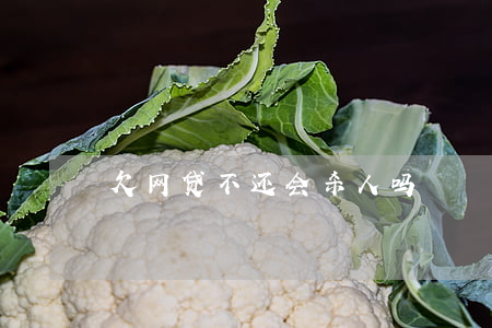 欠网贷不还会杀人吗